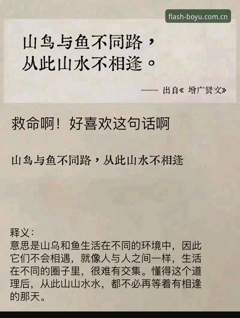 博鱼综合体育CN赛事数据安装教程：三个常见误区与正确路径深度分析